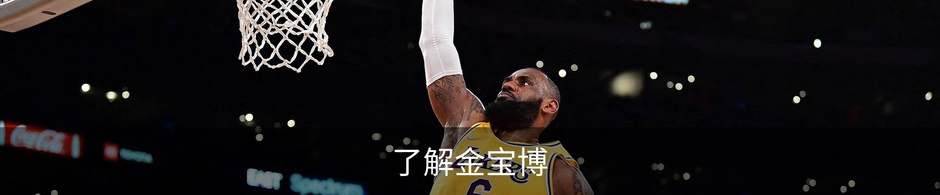 了解金宝博