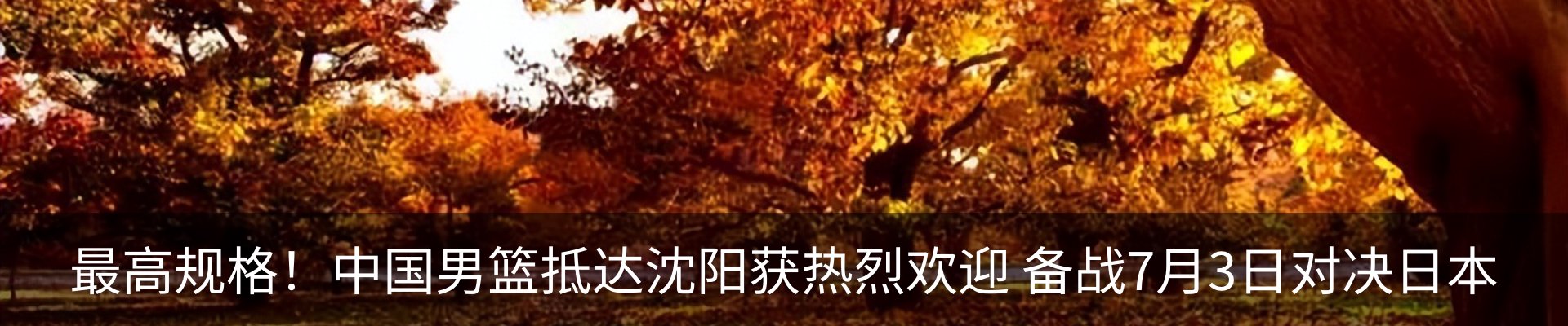 最新动态