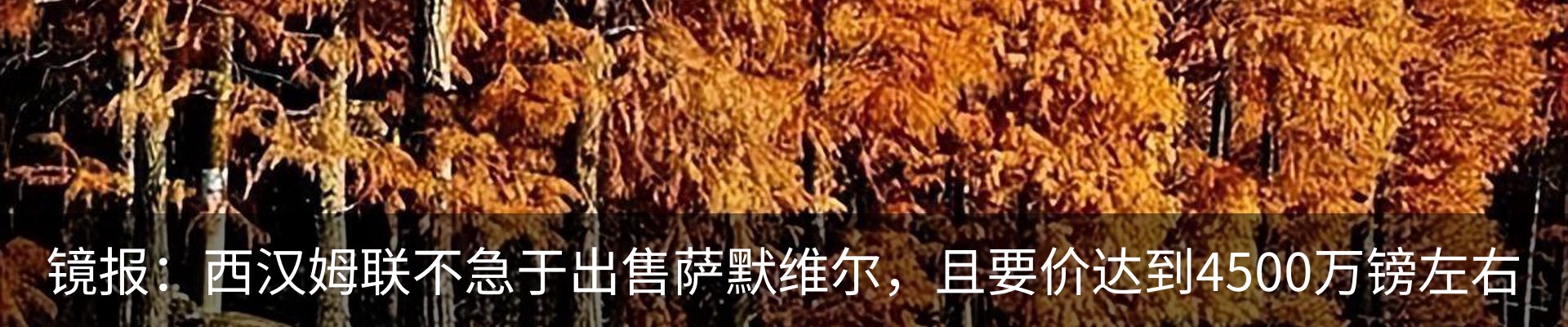 最新动态